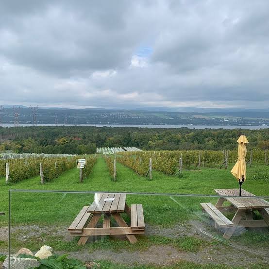 Île d'Orléans (automne) 2