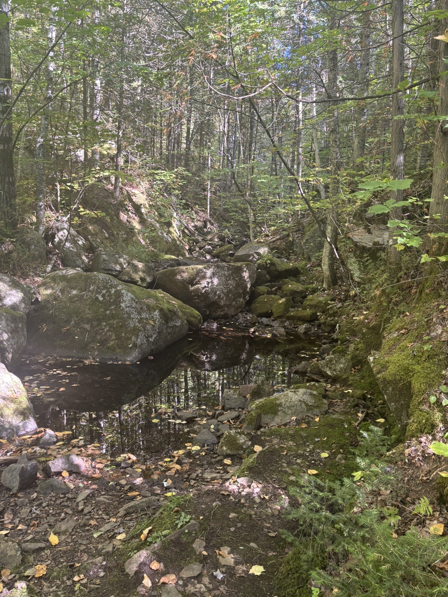 Matawinie (automne) 8