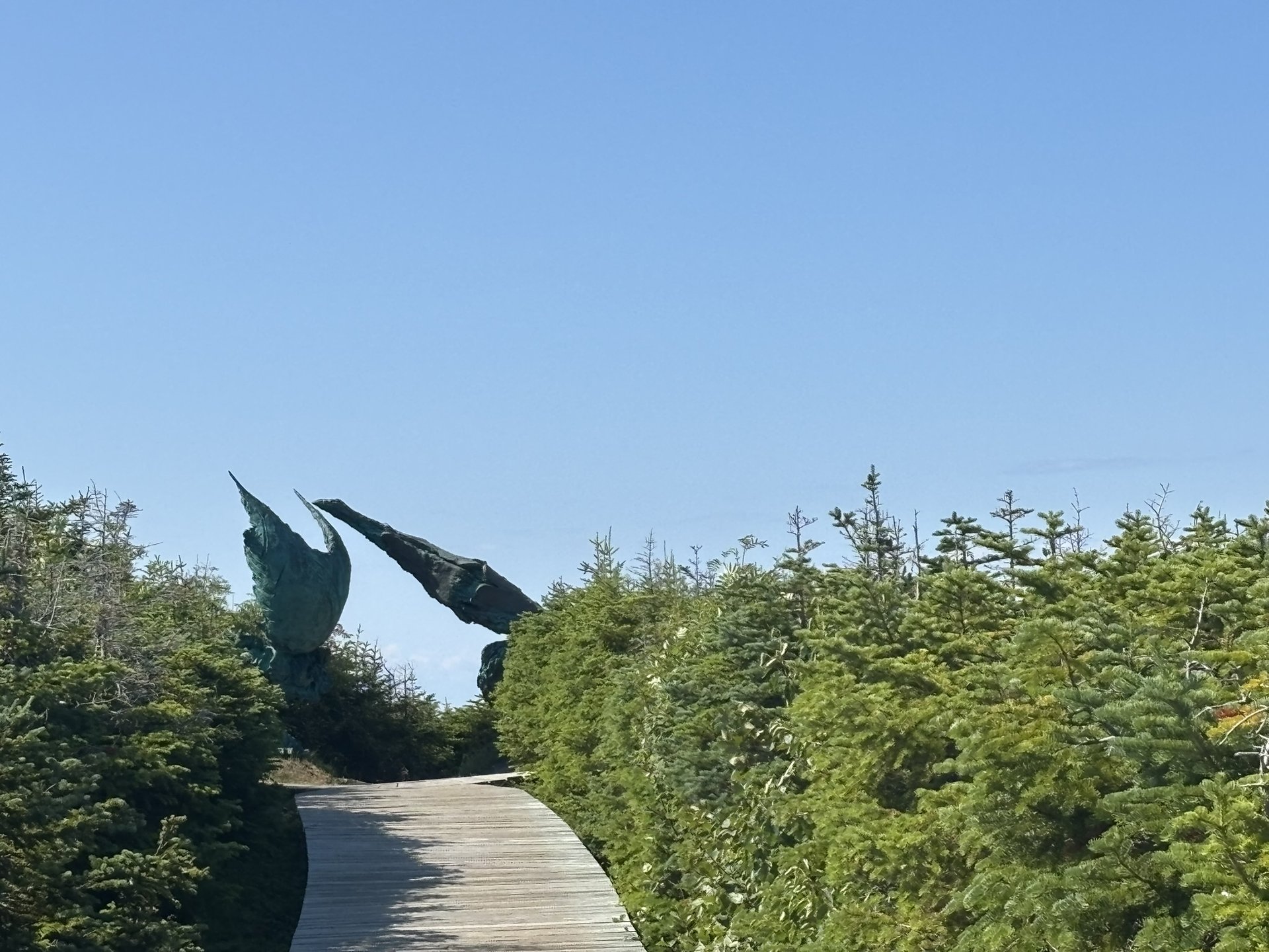 Terre-Neuve 3